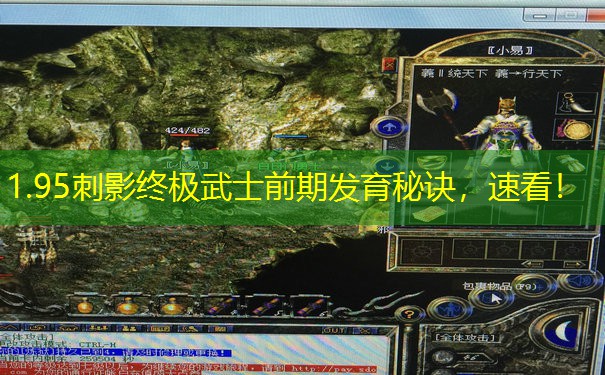 1.95刺影终极武士前期发育秘诀，速看！