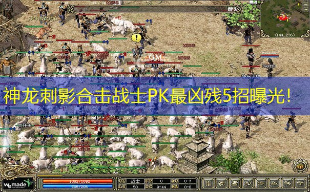 神龙刺影合击战士PK最凶残5招曝光！