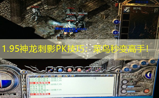 1.95神龙刺影PK技巧:菜鸟秒变高手! 1.95神龙刺影PK技巧:菜鸟秒变高手!