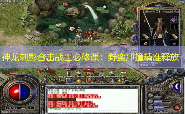 神龙刺影合击战士必修课：野蛮冲撞精准释放