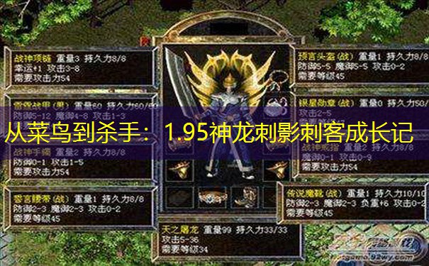 <b>从菜鸟到杀手：1.95神龙刺影刺客成长记</b>