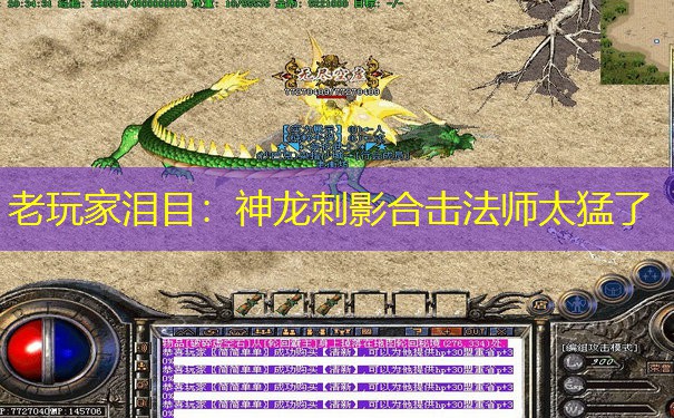 老玩家泪目：神龙刺影合击法师太猛了