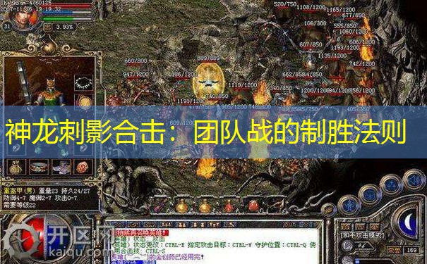 神龙刺影合击：团队战的制胜法则