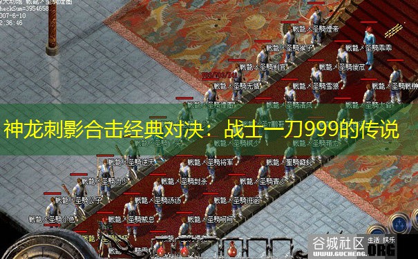 神龙刺影合击经典对决：战士一刀999的传说