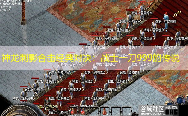 神龙刺影合击经典对决：战士一刀999的传说