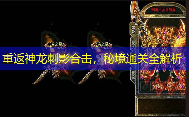 重返神龙刺影合击，秘境通关全解析