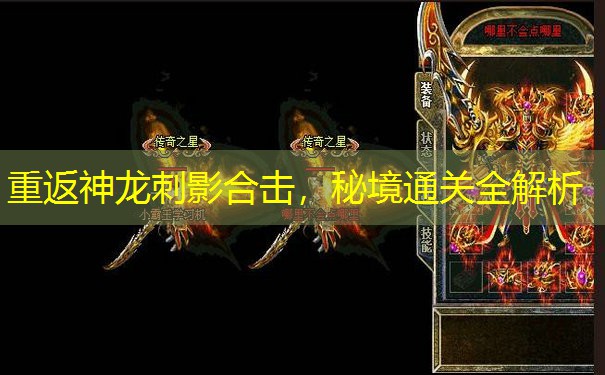 重返神龙刺影合击,秘境通关全解析 重返神龙刺影合击,秘境通关全解析