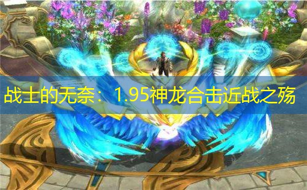 战士的无奈：1.95神龙合击近战之殇