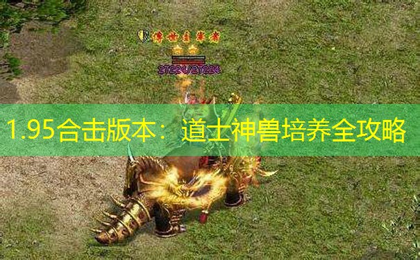 1.95合击版本：道士神兽培养全攻略
