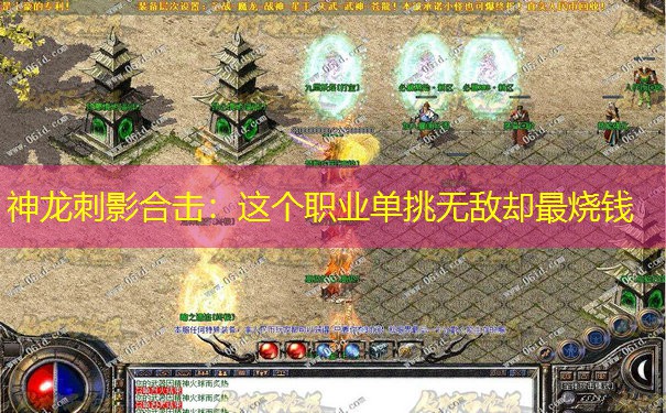神龙刺影合击：这个职业单挑无敌却最烧钱