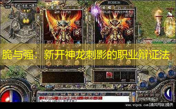 脆与强：新开神龙刺影的职业辩证法