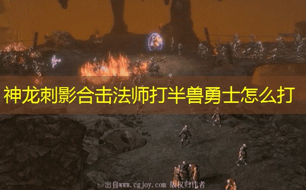 神龙刺影合击法师打半兽勇士怎么打