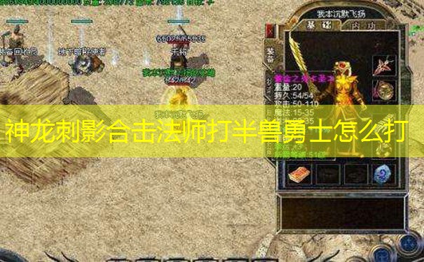 神龙刺影合击法师打半兽勇士怎么打 神龙刺影合击法师打半兽勇士怎么打