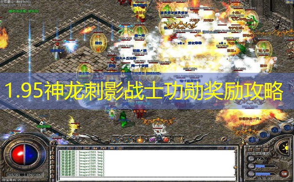 1.95神龙刺影战士功勋奖励攻略 1.95神龙刺影战士功勋奖励攻略